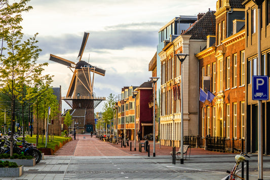 Delft, Molen de Roos, street, view