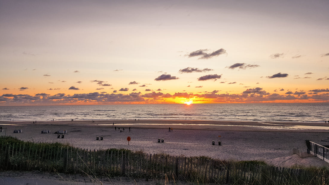 Zandvoort's Thrilling Adventures: Watersports and Beyond