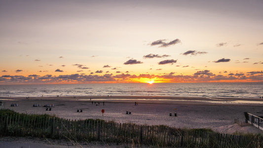 Zandvoort's Thrilling Adventures: Watersports and Beyond
