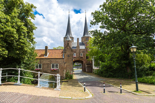 Delft, Oospoort, Woody Buddy, photo, walk, history