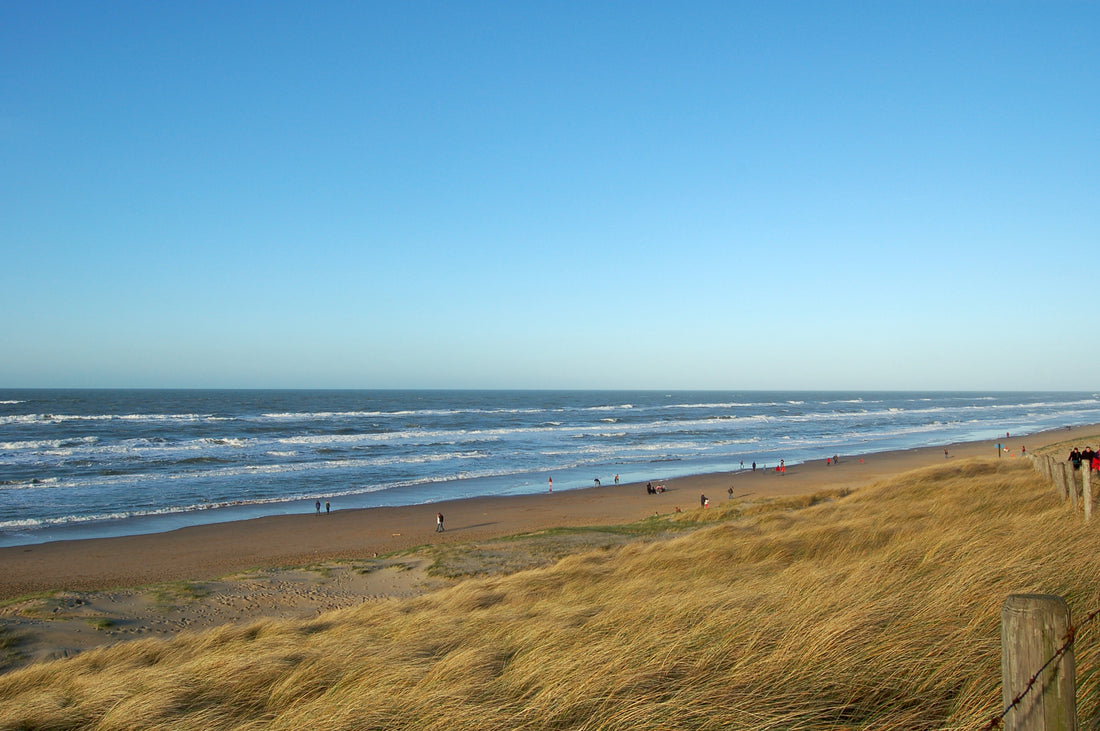 Exploring Wassenaar's Natural Wonders: Where Beauty Meets Serenity