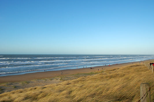 Exploring Wassenaar's Natural Wonders: Where Beauty Meets Serenity