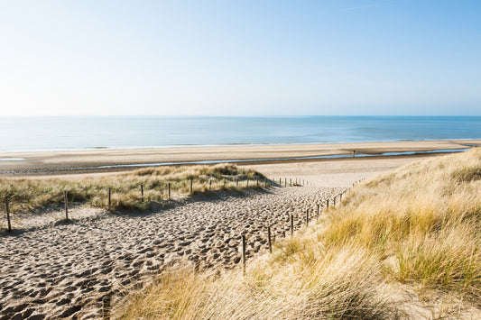 Unleash Noordwijk's Adventure Playground: Beach Fun, Water Sports, Hiking, Biking, and Nature Excursions Await!