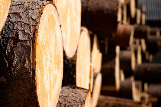 The Science of Wood: Understanding Different Types of Wood and Their Uses