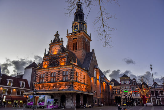 WOODY BUDDY, ALKMAAR, DE WAAG, light