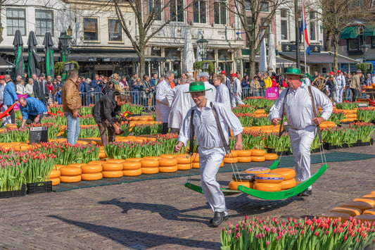 Alkmaar Kaasmarkt: Preserving Tradition in a Modern World