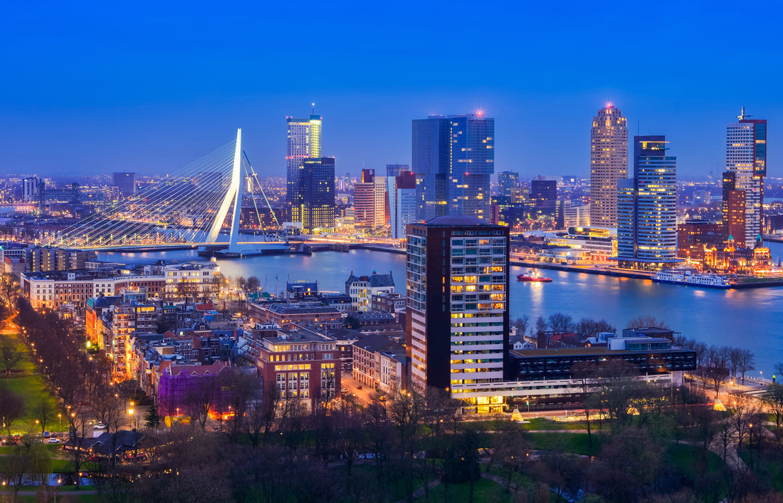 erasmusbrug, swan, holland, rotterdam, night