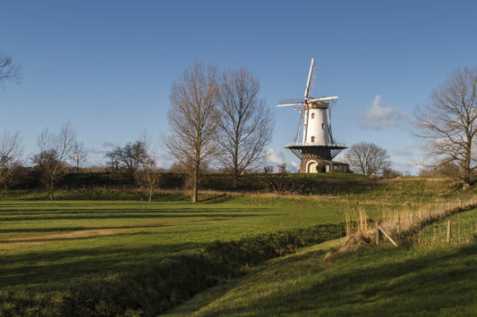 Windmill Wonders: Exploring the Iconic Veere Molen De Koe