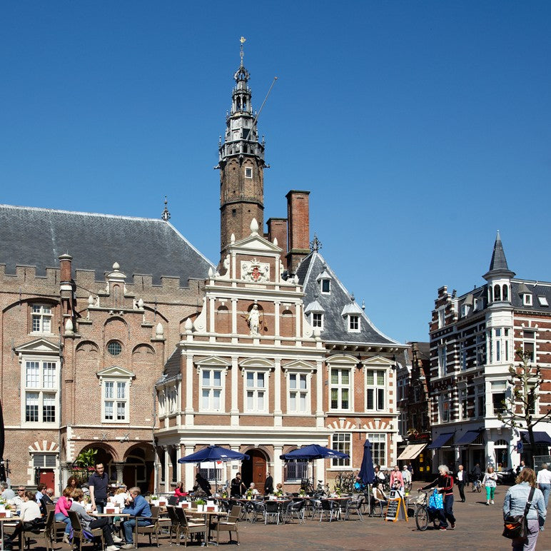 VVV Haarlem